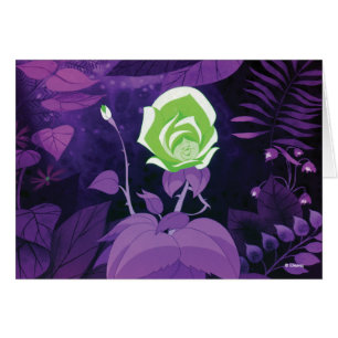 Film de fleurs de jardin toujours en cours