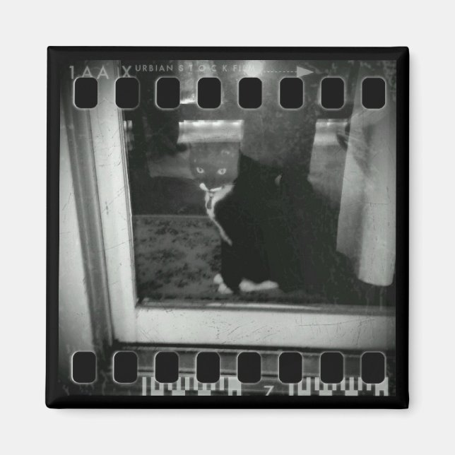 Film Strip Lucy Magnet (Front)