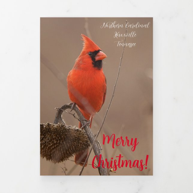 Fin D'année Trois Volets Carte de "Joyeux Noël" avec Cardinal (Page de couverture)