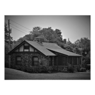 "Final Stage of Infancy" Photo Print