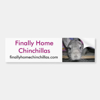 Finally Home Chinchillas Bumper Sticker, Esther Bumper Sticker