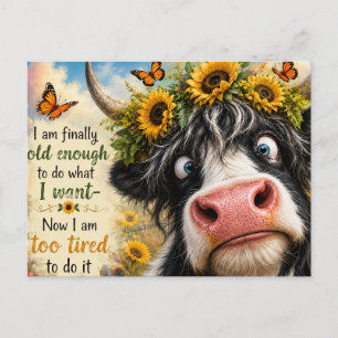 Finally Old Enough Cow Postcard