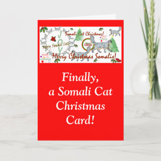 Finally Somali Cat Christmas Cards