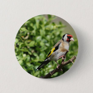 FInch 2 Inch Round Button