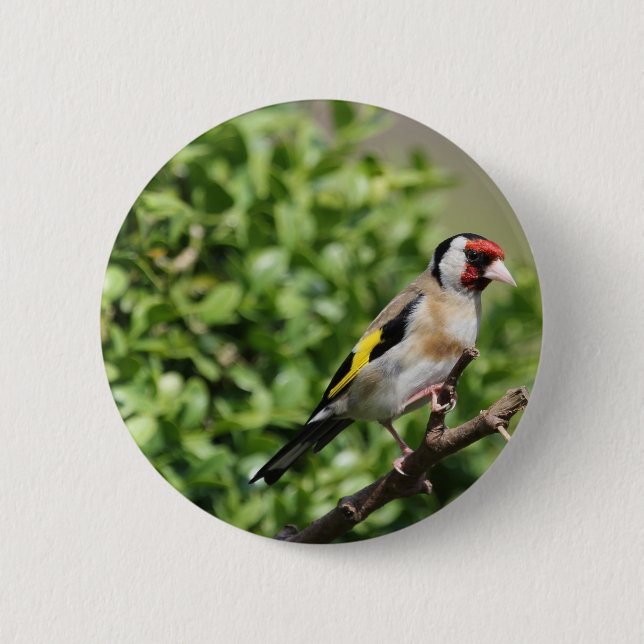 FInch 2 Inch Round Button (Front)
