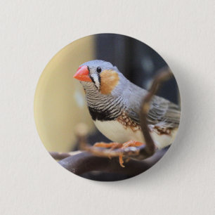 Finch 2 Inch Round Button