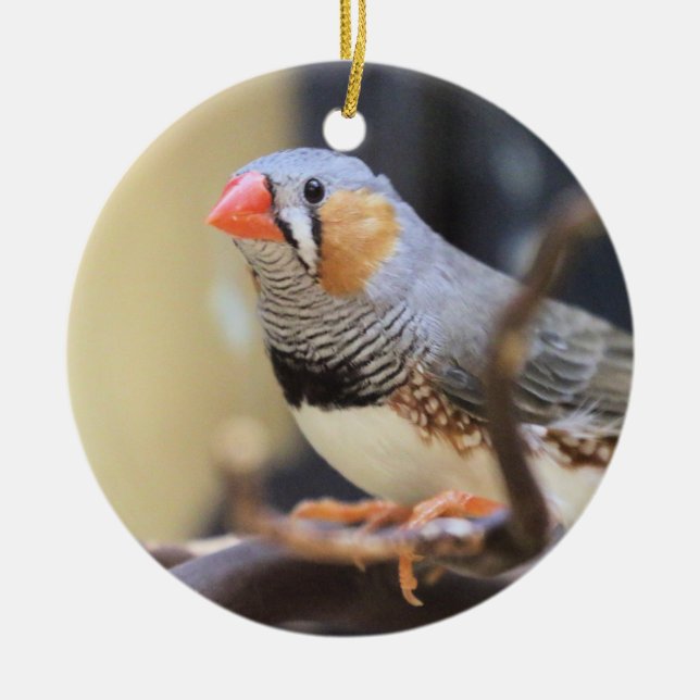 Finch Ceramic Ornament (Front)