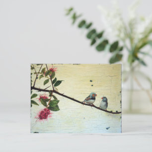 Finch Conversation Postcard