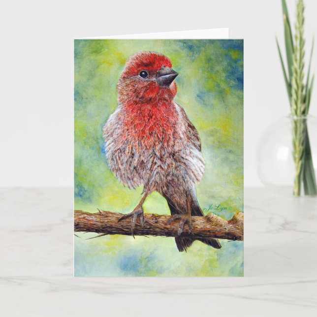 Finch, Greeting Card (Front)