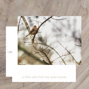 Finch in Winter Branches Nature Photography Card