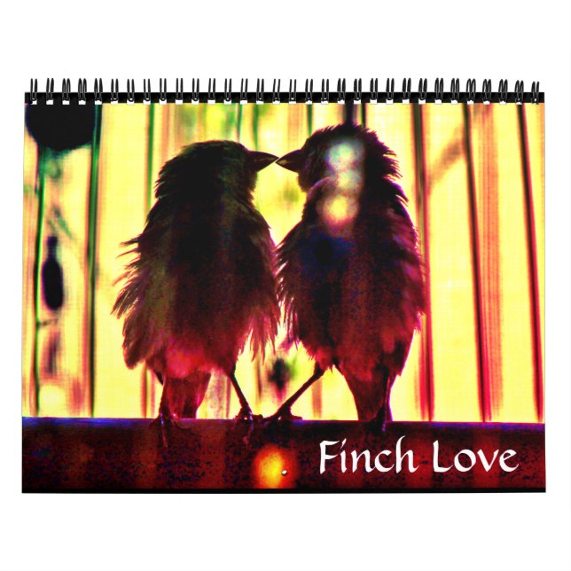 Finch Love Calendar (Cover)