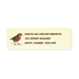 Finch Maison