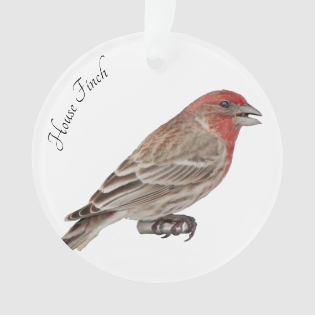 Finch Maison (devant)