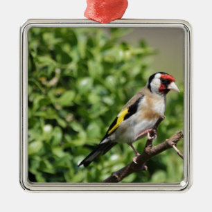 FInch Metal Ornament