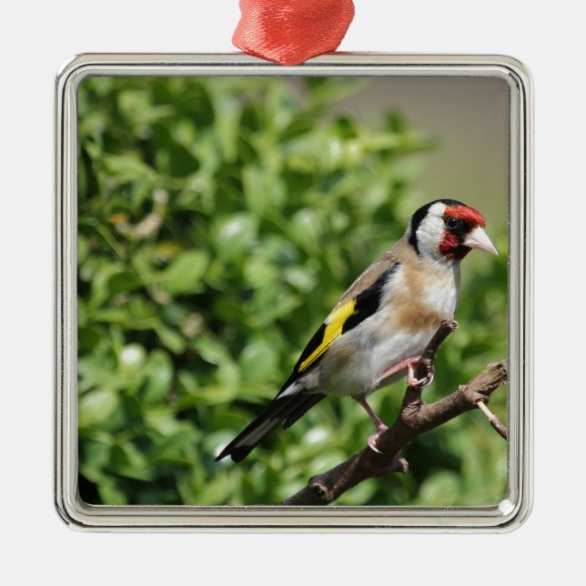 FInch Metal Ornament (Front)