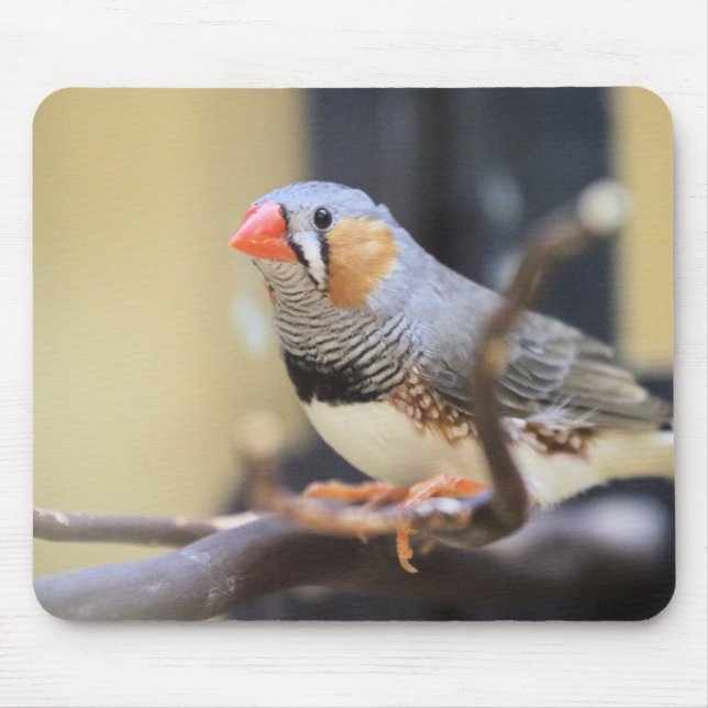 Finch Mouse Pad (Front)