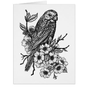 Finch on cherry branch