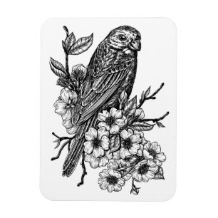 Finch on cherry branch magnet