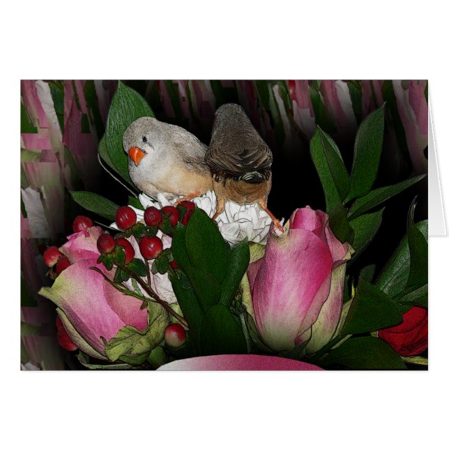 Finches Card 2 (Front Horizontal)