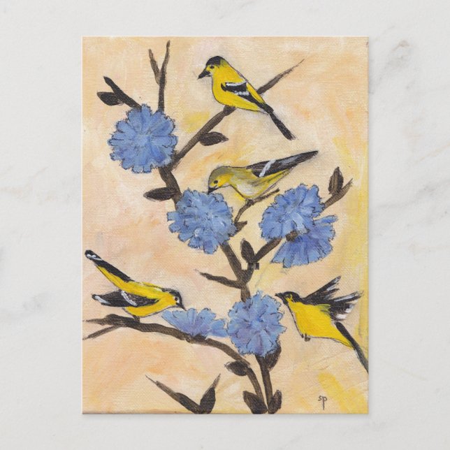 Finches on Chicory Postcard (Front)