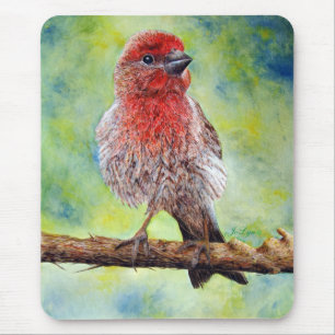 Finchy Mouse Pad