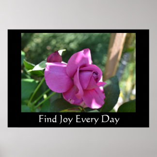 Find Joy Rose Inspirational Poster