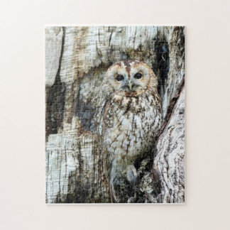 Find The Owl Jigsaw Puzzle