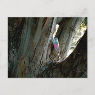 Find the perfect place and time for wine postcard