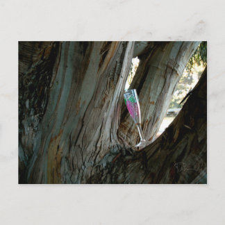 Find the perfect place and time for wine postcard