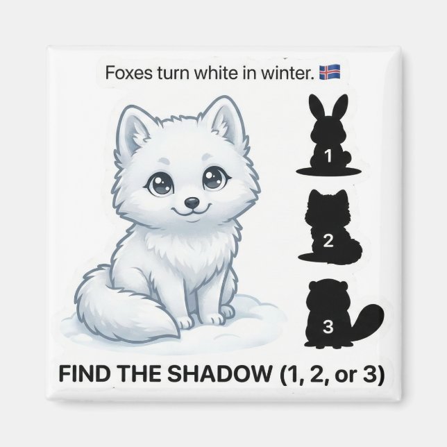 Find the Shadow – Arctic Fox Learning Magnet (Devant)