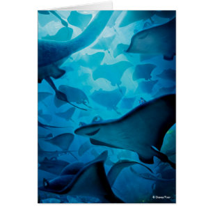 Finding Dory   Hide and Seek - Rays