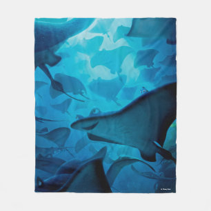 Finding Dory   Hide and Seek - Rays Fleece Blanket