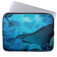 Finding Dory | Hide and Seek - Rays