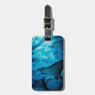 Finding Dory   Hide and Seek - Rays Luggage Tag