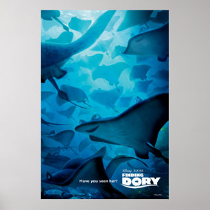 Finding Dory   Hide and Seek - Rays Poster