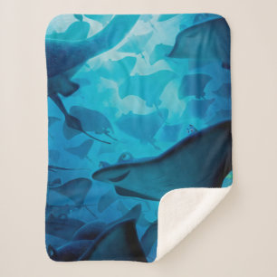 Finding Dory   Hide and Seek - Rays Sherpa Blanket