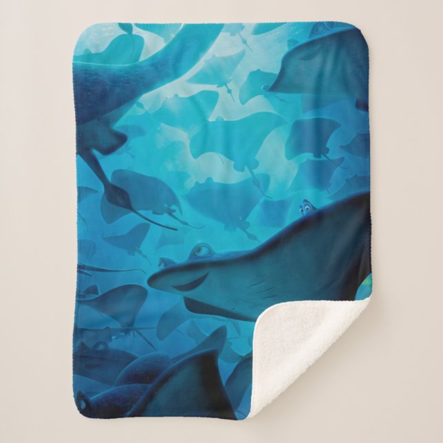 Finding Dory | Hide and Seek - Rays Sherpa Blanket (Front)
