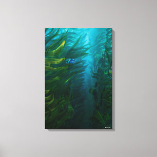 Finding Dory   Hide and Seek - Sea Kelp Canvas Print