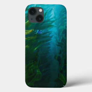 Finding Dory   Hide and Seek - Sea Kelp iPhone 13 Case