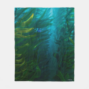 Finding Dory   Hide and Seek - Sea Kelp Fleece Blanket