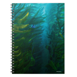 Finding Dory   Hide and Seek - Sea Kelp Notebook