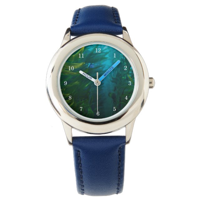 Finding Dory | Hide and Seek - Sea Kelp Watch (Front)