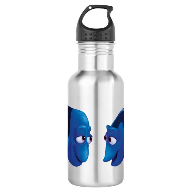 Finding Dory | Jenny & Charlie 710 Ml Water Bottle (Front)