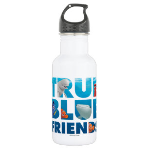 Finding Dory   True Blue Friends 532 Ml Water Bottle