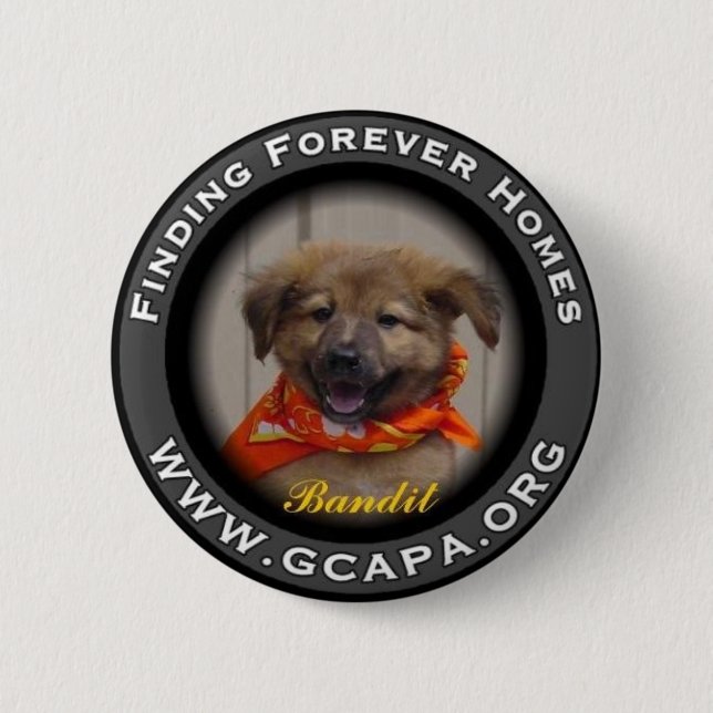 Finding Forever Homes 2 Inch Round Button (Front)