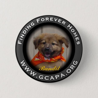 Finding Forever Homes 2 Inch Round Button