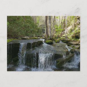 Findlay Falls I Postcard