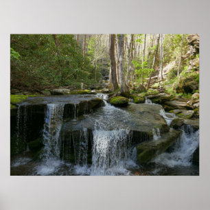 Findlay Falls I Poster