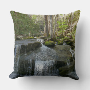 Findlay Falls I Throw Pillow