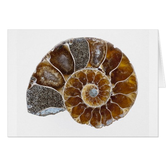 Fine art greetings card